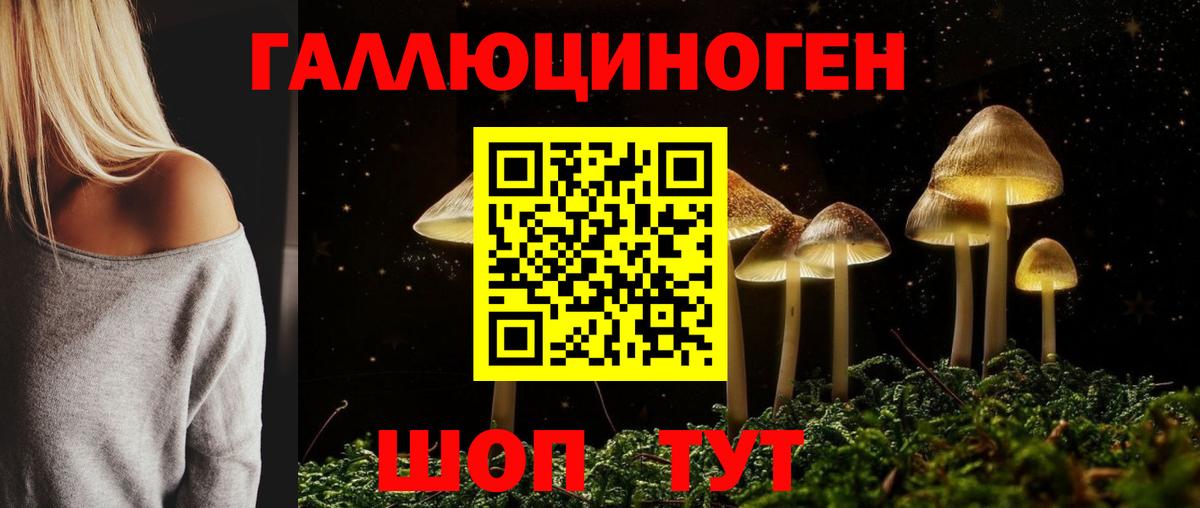 Псилоцибиновые грибы Cubensis  Вход с VPN  Реж 