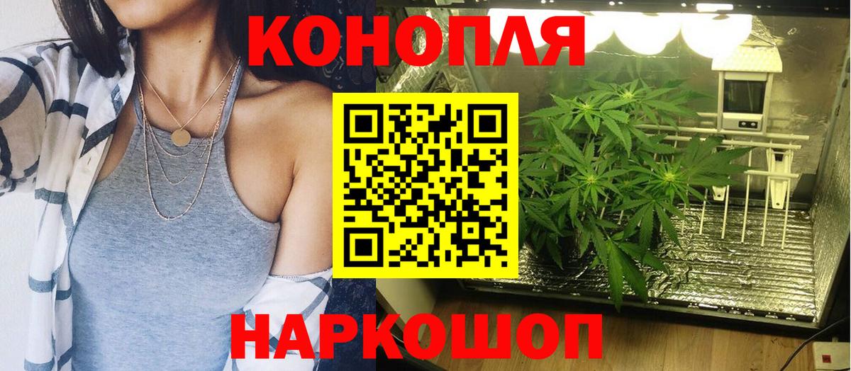 Бошки Шишки сатива  Канабис гибрид  Вход с VPN  МАРИХУАНА сатива  Реж  Конопля VHQ 